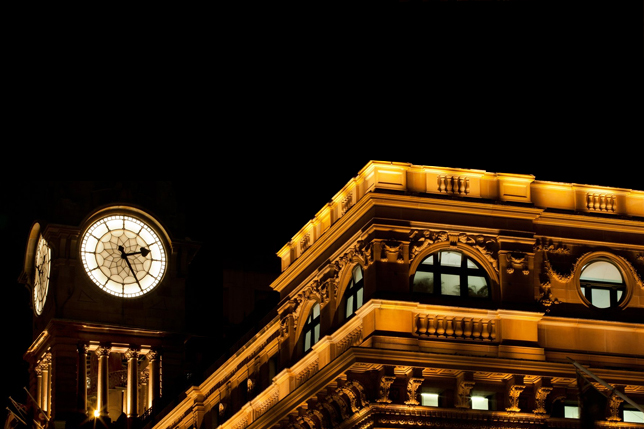 Residential plant growth with Hortisolis LEDs