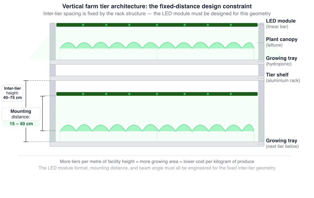 Vertical farm architecture section with grow lights